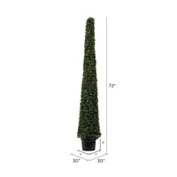6ft. Potted Boxwood Cone Tree