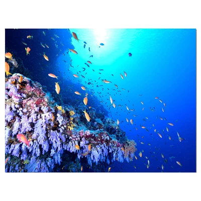 Designart - Coral Reef With Different fish Swimming - Sea & Shore Nautical Photographic on wrapped Canvas