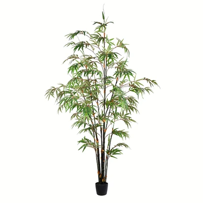 6ft. Potted Black Japanese Bamboo Tree