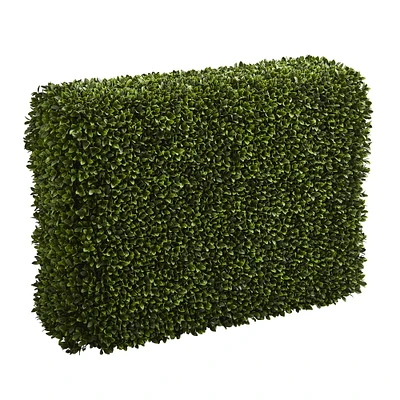 3.5ft. Boxwood Hedge