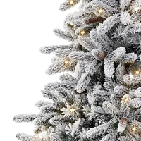 6.5ft. Pre-Lit Flocked ‎Bennington Fir Artificial Christmas Tree, Clear Lights