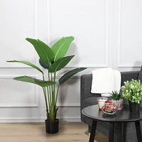 4ft. Travelers Palm in Black Planter