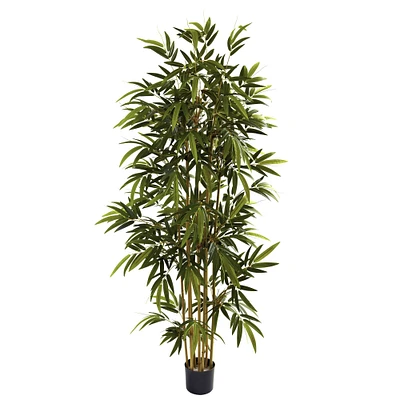 6ft. Potted Bamboo Tree