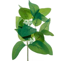 Eucalyptus Leaves & Berries Pick by Ashland®