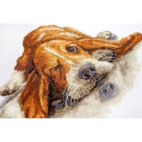 Luca-s Basset Counted Cross Stitch Kit