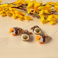 Assorted Mushroom Birds by Ashland®