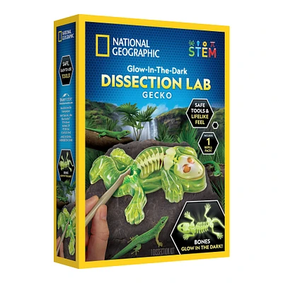 National Geographic™ Glow-in-the-Dark Gecko Dissection Lab