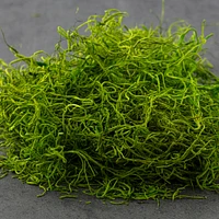 SuperMoss® Preserved Spanish Moss, Grass Green
