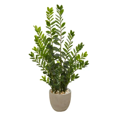 4.5ft. ZZ Plant in Decorative Sandstone Planter