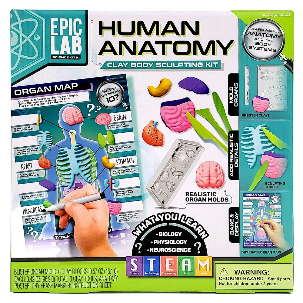 ArtSkills® Epic Lab Human Anatomy STEM Kit