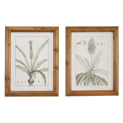 Brown & Cream Vintage Botanical Framed Wall Art Set