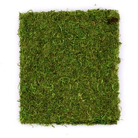 SuperMoss® Peel-N-Stick All Purpose Moss Mat