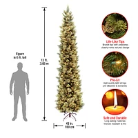 12ft. Pre-Lit Carolina Pine Artificial Christmas Tree, Clear Lights