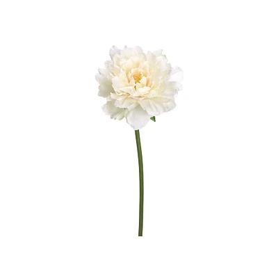 Cream & White Peony Stem