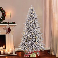 7.5ft. Pre-Lit Bennington Fir Artificial Christmas Tree, Clear Lights