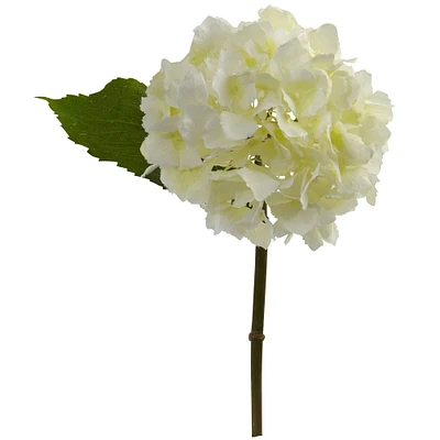 Hydrangea Stem