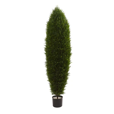 5ft. Potted Cypress Tree