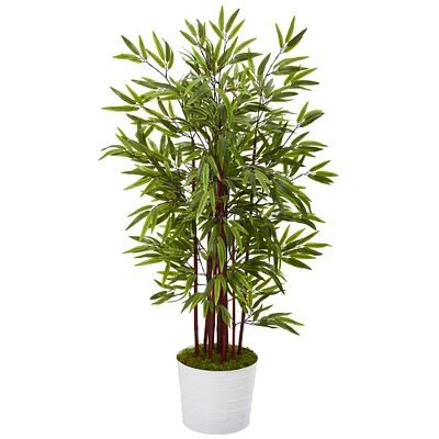 4.5ft. Bamboo Tree in White Tin Planter 