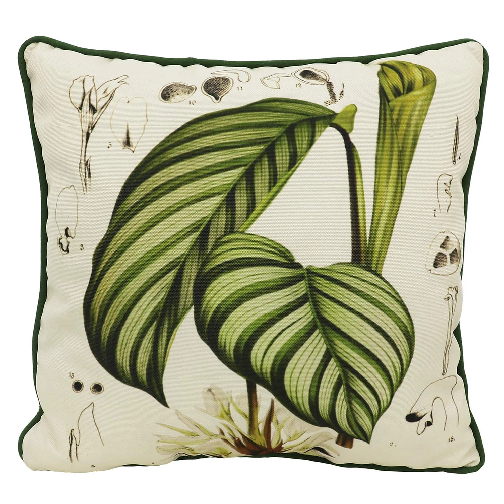 Zebra Plant Leaves Throw Pillow by Ashland®