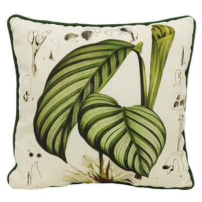 Zebra Plant Leaves Throw Pillow by Ashland®