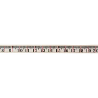 Idea-Ology 36" Ruler Ribbon