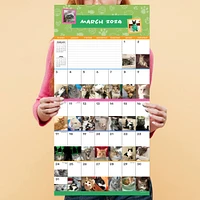 TF Publishing 2024 Cat-A-Day Wall Calendar