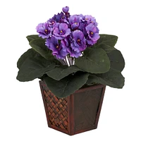 10" African Violet In Planter Set