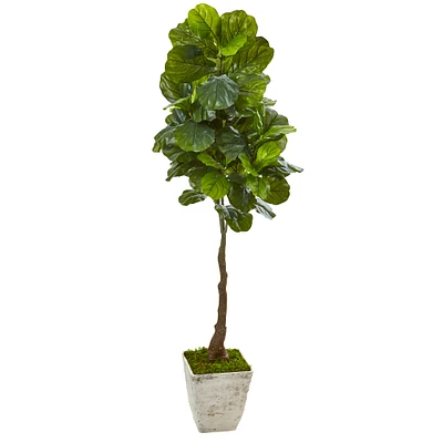 5.6ft. Real Touch™ Fiddle Leaf Tree in Country White Planter