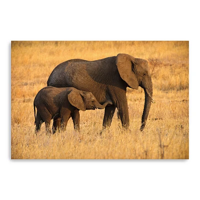Mother and Baby Elephants Canvas Giclee