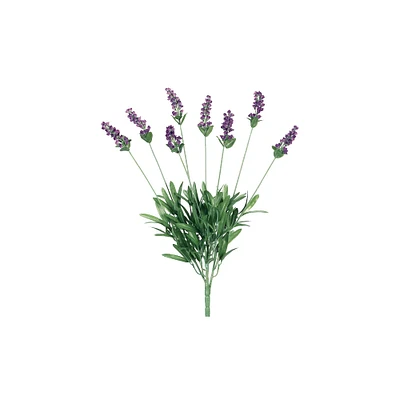 Lavender Bush