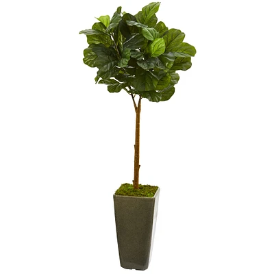 4ft. Fiddle Leaf Tree in Green Planter