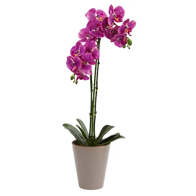 24” Potted Speckled Phalaenopsis Orchid Artificial Arrangement