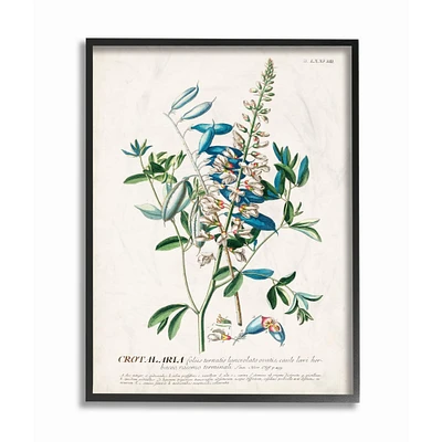 Stupell Industries Botanical Plant Illustration Wall Art in Frame