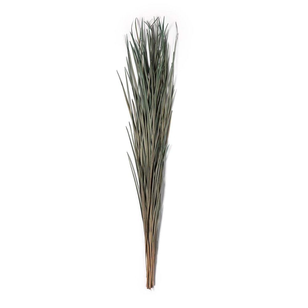 Green Magnolia Flax Grass Bundle by Ashland®