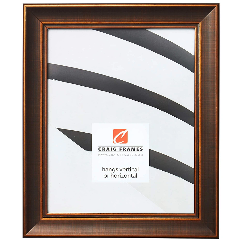 Craig Frames Metropolis Antique Bronze Picture Frame