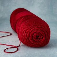 15 Pack: Caron® Simply Soft® Solid Yarn