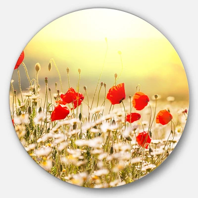 Designart - Wild Meadow with Poppy Flowers' Floral Oversized Circle Metal Artwork