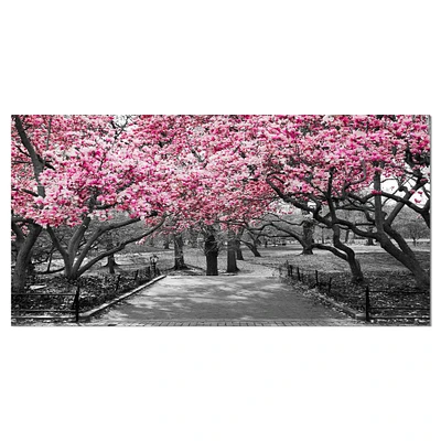 Designart - Cherry Blossoms