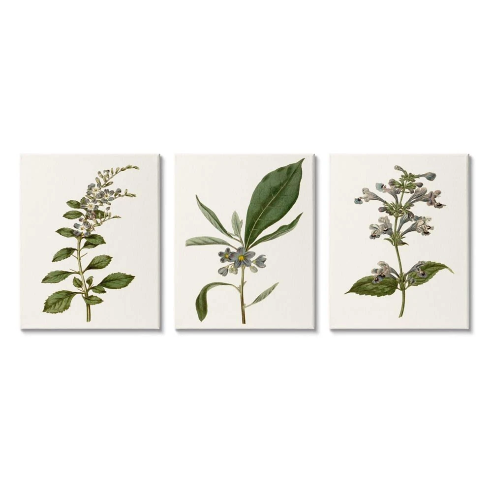 Stupell Industries Minimal Blue Botanical Study Over Neutral Beige Canvas Wall Art