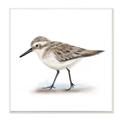 Stupell Industries Nautical Sandpiper Bird on Sand Speckled Feathers,12" x 12"