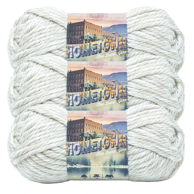 3 Pack Lion Brand® Hometown Variegates Yarn