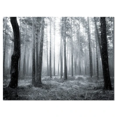 Designart - Black and White Foggy Forest