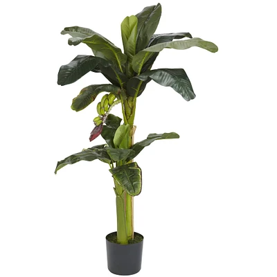 5ft. Potted Banana Tree