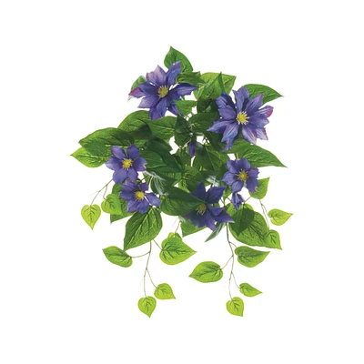 Purple UV Protected Clematis Bush 