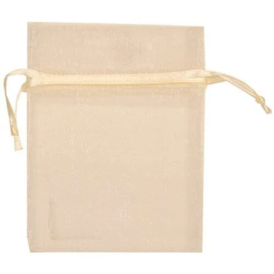 JAM Paper Sheer String Tie Gift Bags