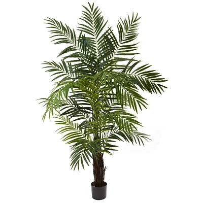 6ft. Potted Green Areca Palm Tree