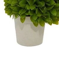 10" Boxwood Topiary in Decorative Planter