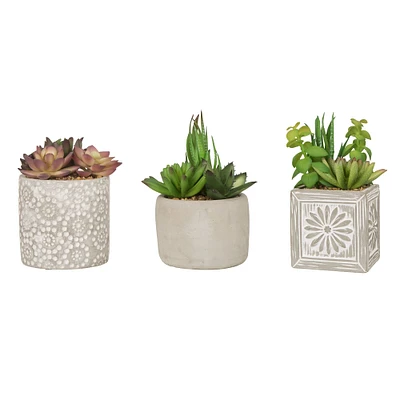 Glitzhome® Succulent Trio in Cement Pots