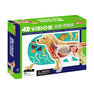 4D Vision™ Golden Retriever Anatomy Model