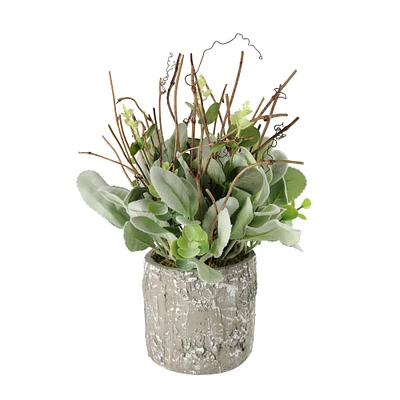 11" Lamb's Ear in Cement Pot